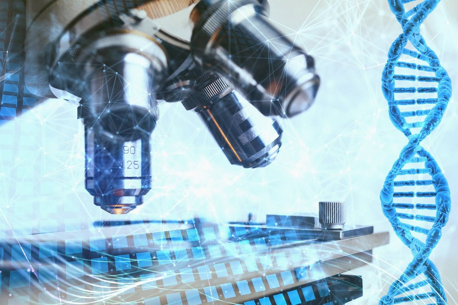 Réflexion sur les hybrides humains-animaux