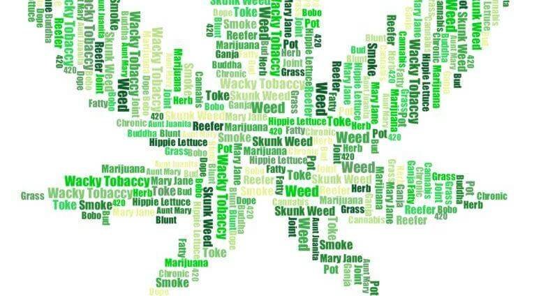 Le Cannabis en France : Trafic, Conditionnement, Tendances, Prix