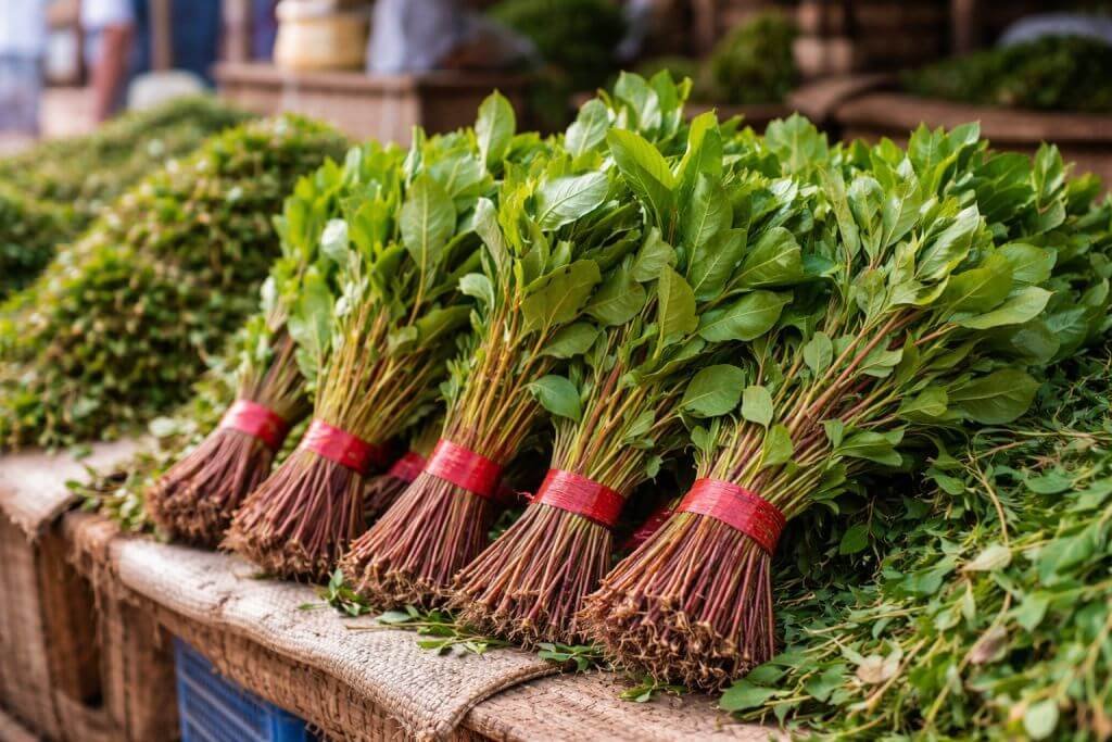 bottes de khat sur le marché