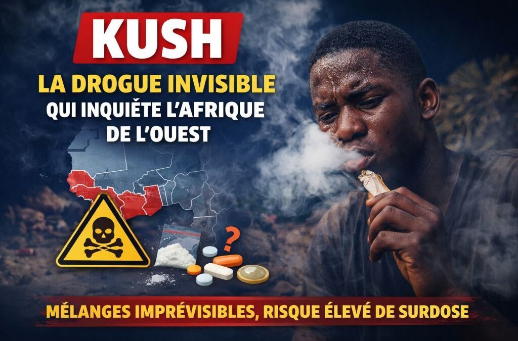 Kush : la drogue invisible qui inquiète l’Afrique de l’Ouest