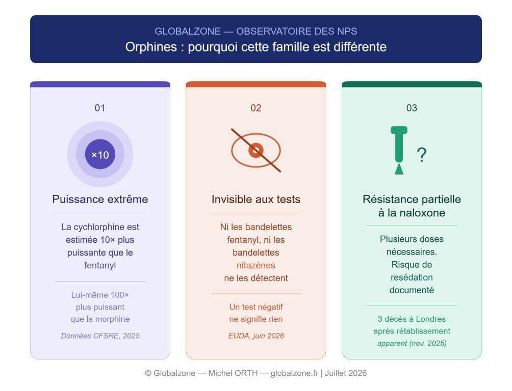 visuel les orphines titre page article