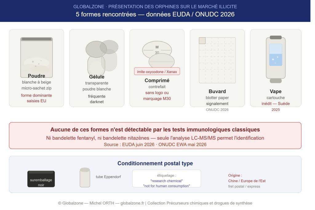 visuel des differentes formes d'orphnes